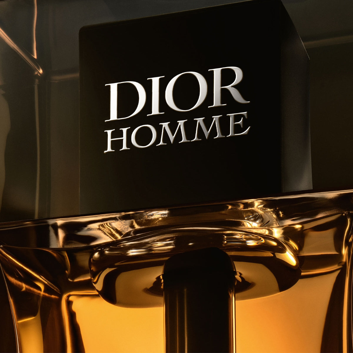 Dior Homme Intense 100ml