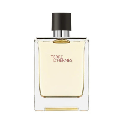 Terre d’Hermès Eau de Toilette 100ml