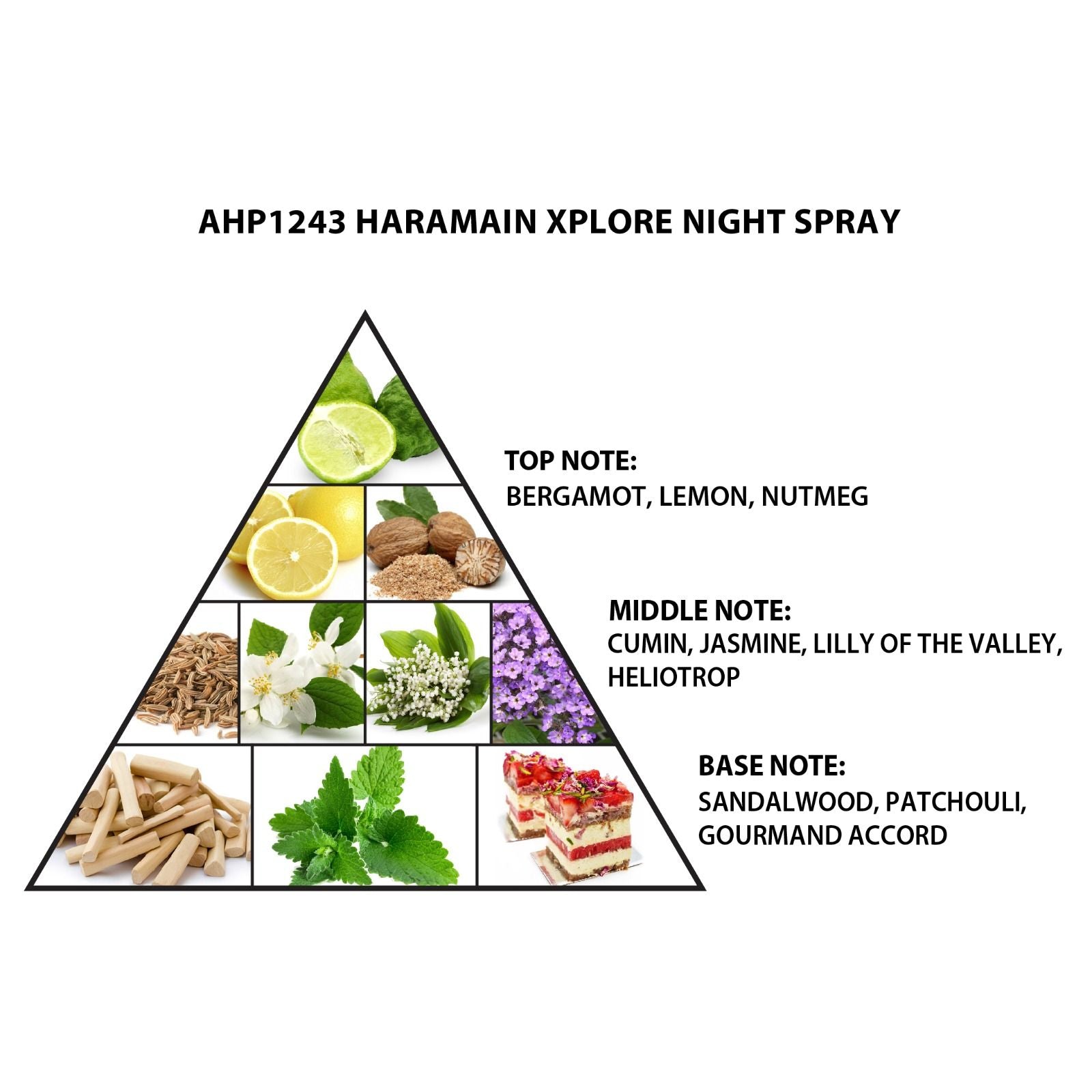 Al Haramain Xplore Night Spray 100ml